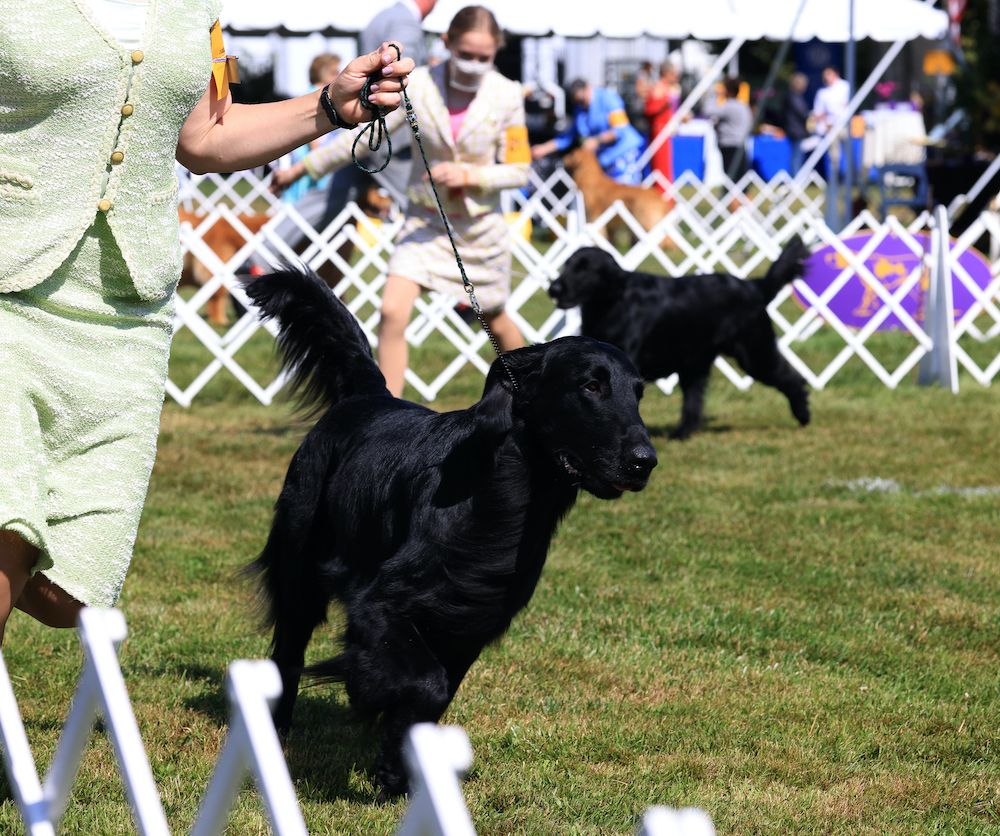 Question of the Week